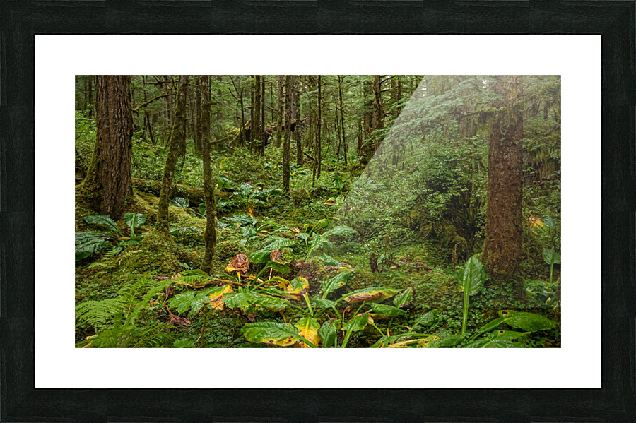 Green and Wet Picture Frame print