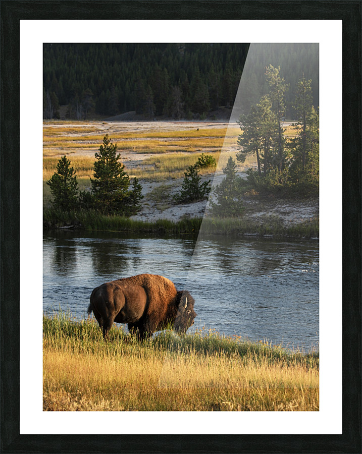 Buffalo River Picture Frame print