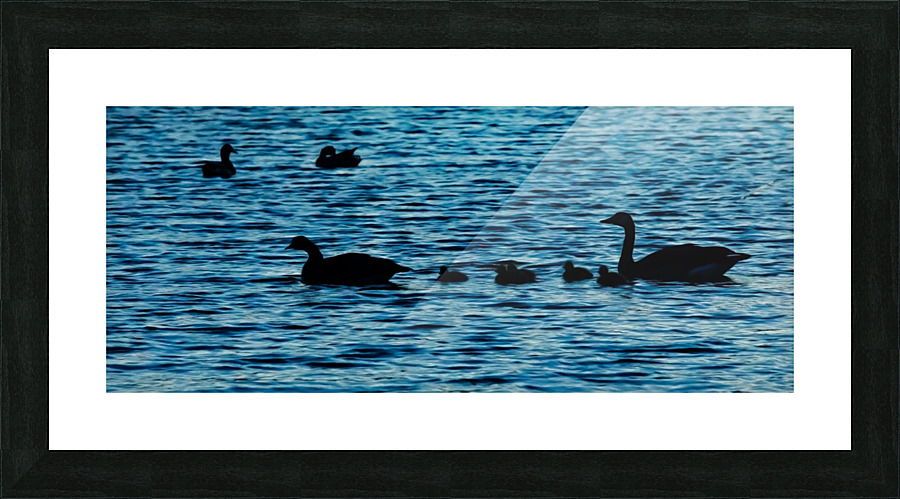 Swim Time Picture Frame print