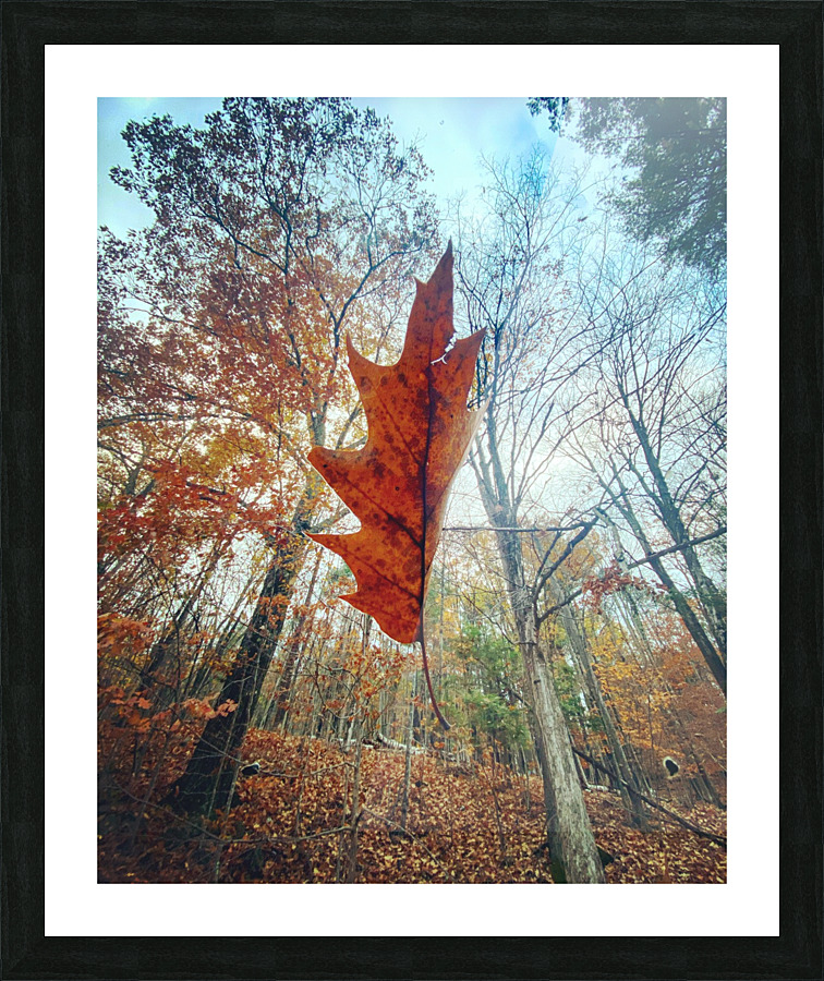 Falling Up Picture Frame Printing