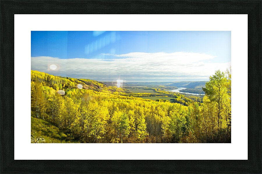 Fall Colours Picture Frame print