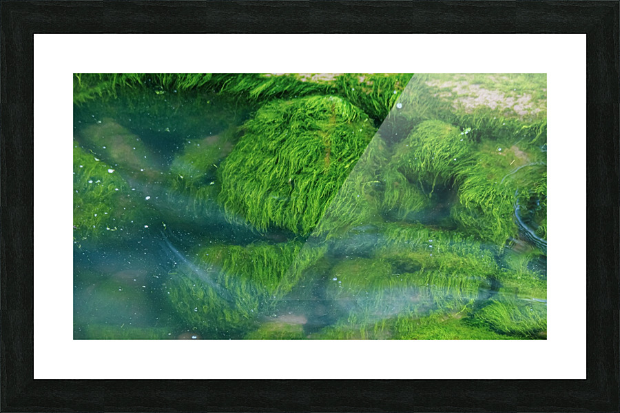 Submerged Slimey Rocks Picture Frame print