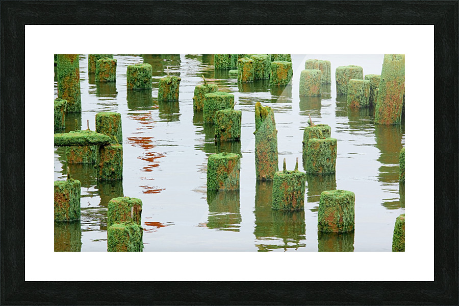 Abandoned Pier Picture Frame print