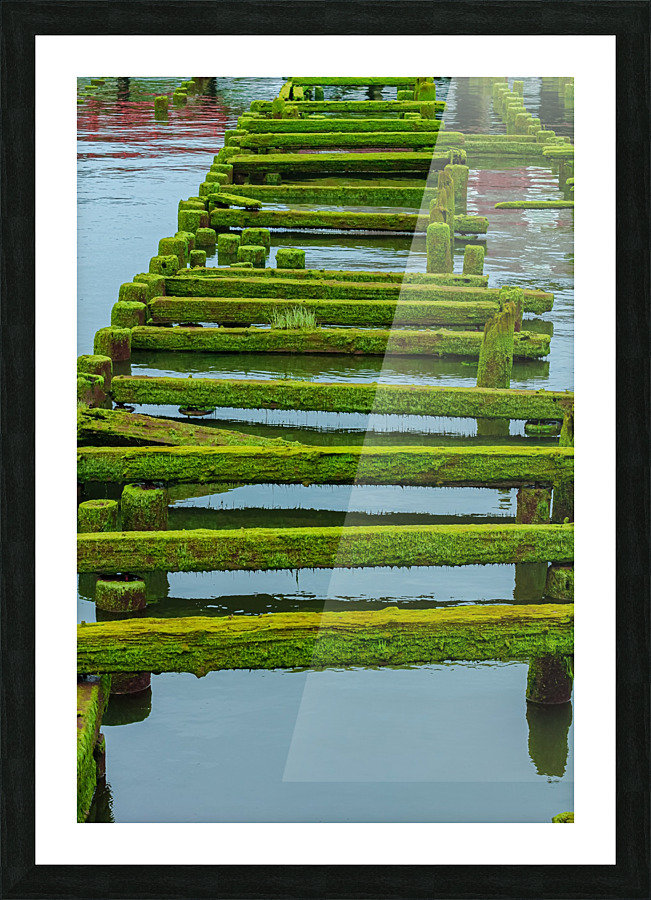 Green Rails Picture Frame print