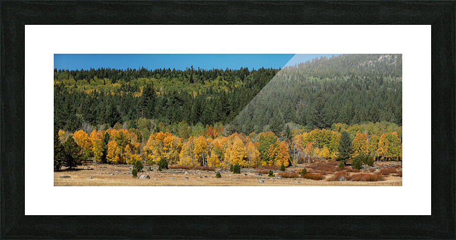 Golden Tree Line Picture Frame print