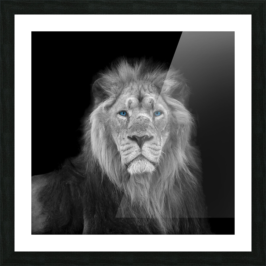  Tirage d’art