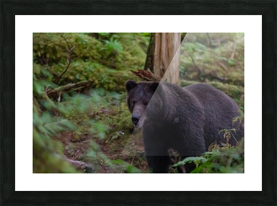 Close Encounter Picture Frame print