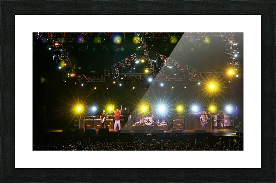 Chickenfoot Picture Frame print