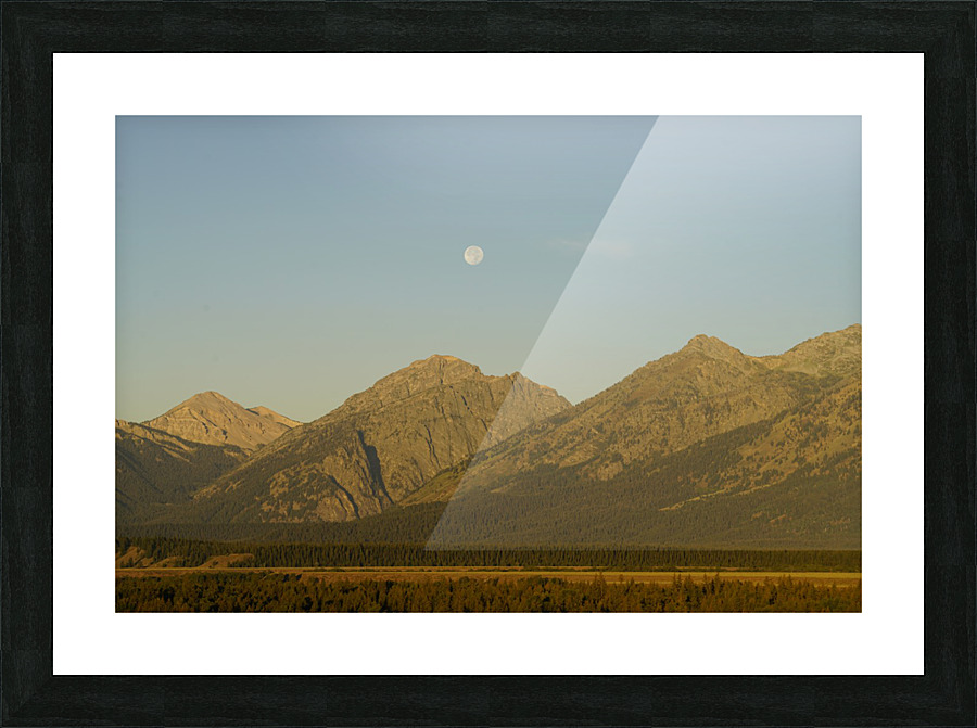 Desert Super Moon Picture Frame print