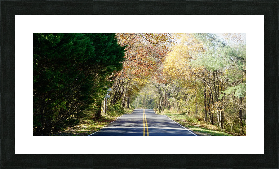 Thompson Road Picture Frame print