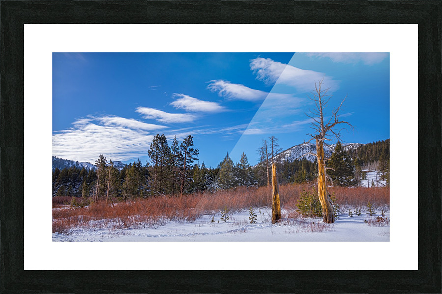 Interesting Clouds Picture Frame print