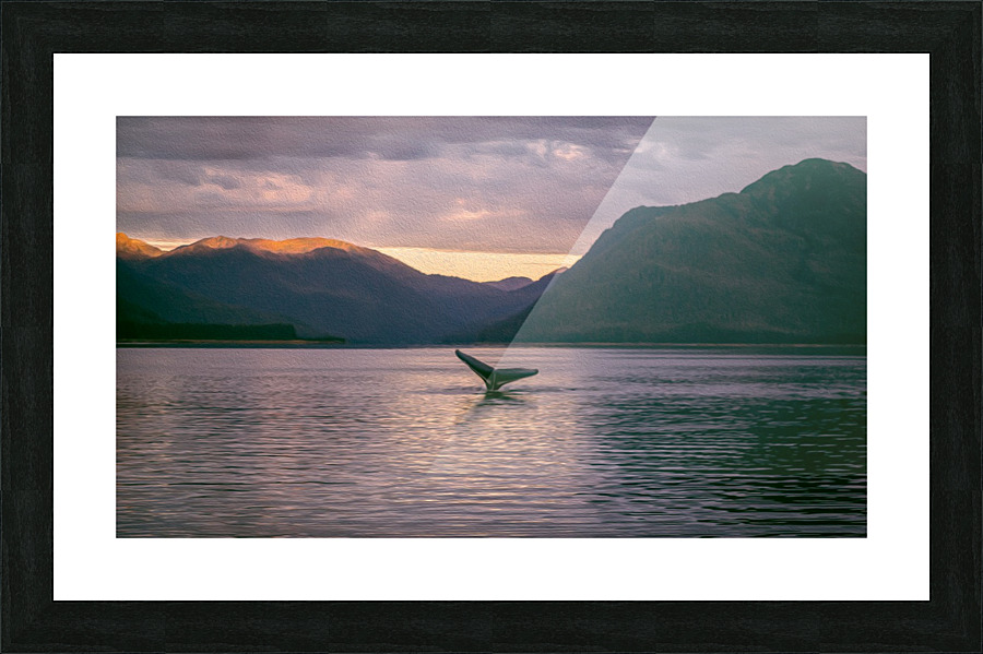 Whale Tail Alaska Picture Frame print