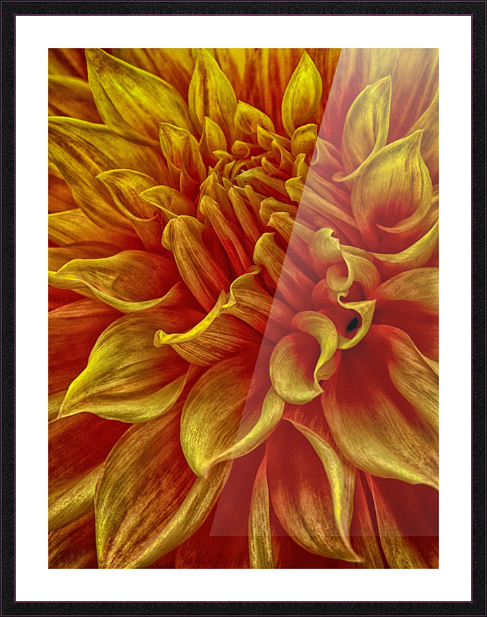 pumpkin yellow Picture Frame print