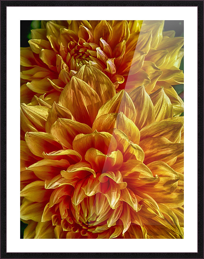 shiffon Picture Frame print