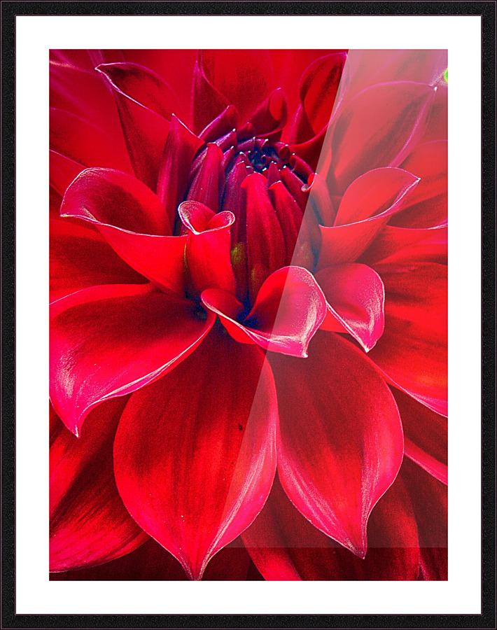 red Picture Frame print