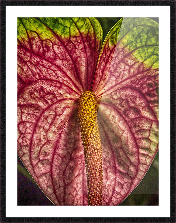 study Picture Frame print