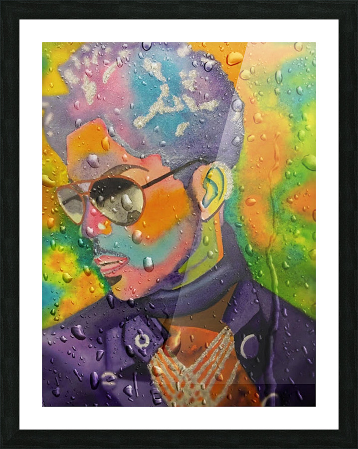 12 Picture Frame print