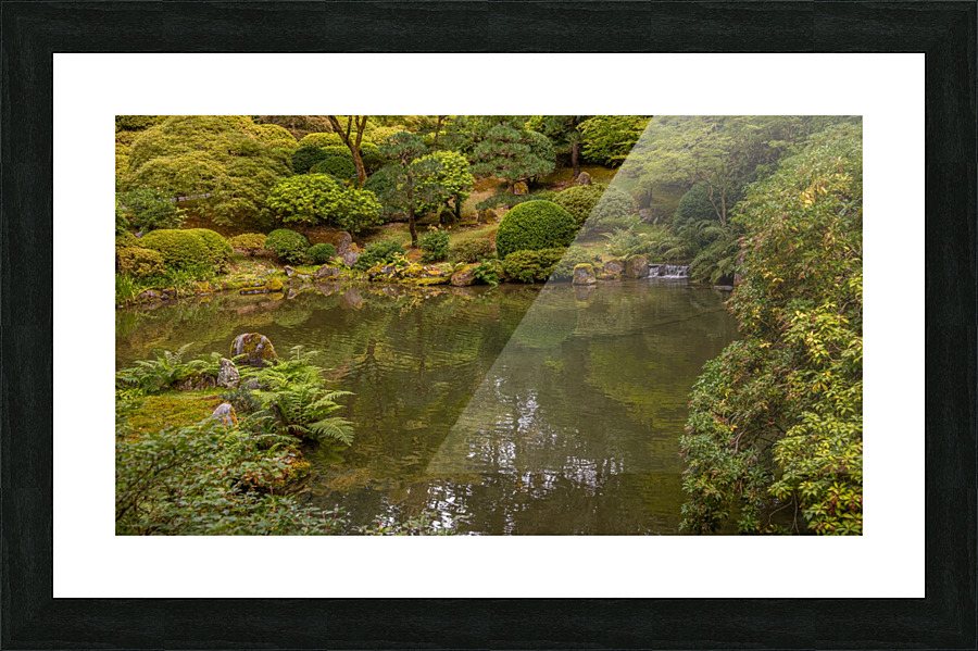 Japanese Garden Portland 5  Framed Print Print