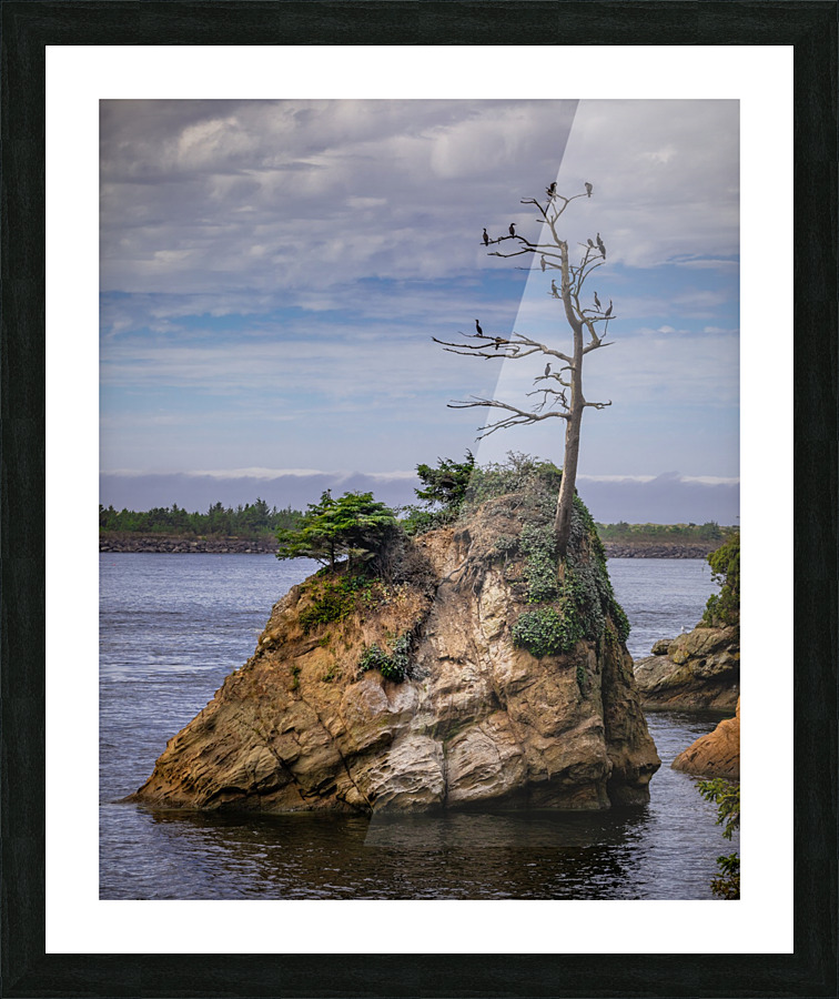 Oregon Coast 2  Framed Print Print