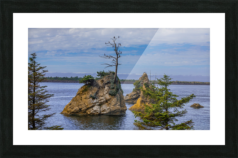 Oregon Coast 1  Framed Print Print