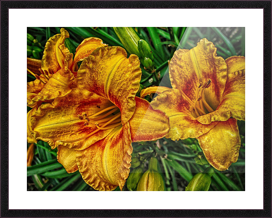 flower four Picture Frame print