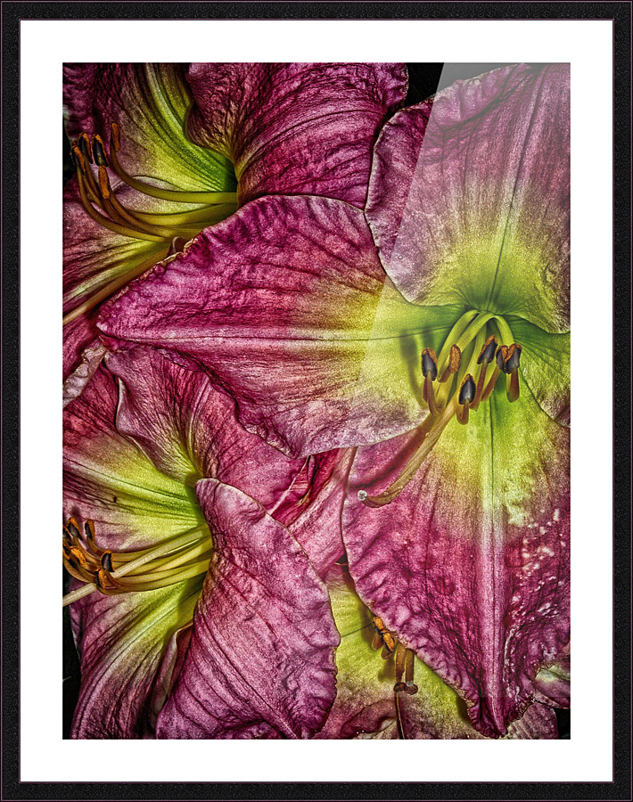 flower eight Picture Frame print