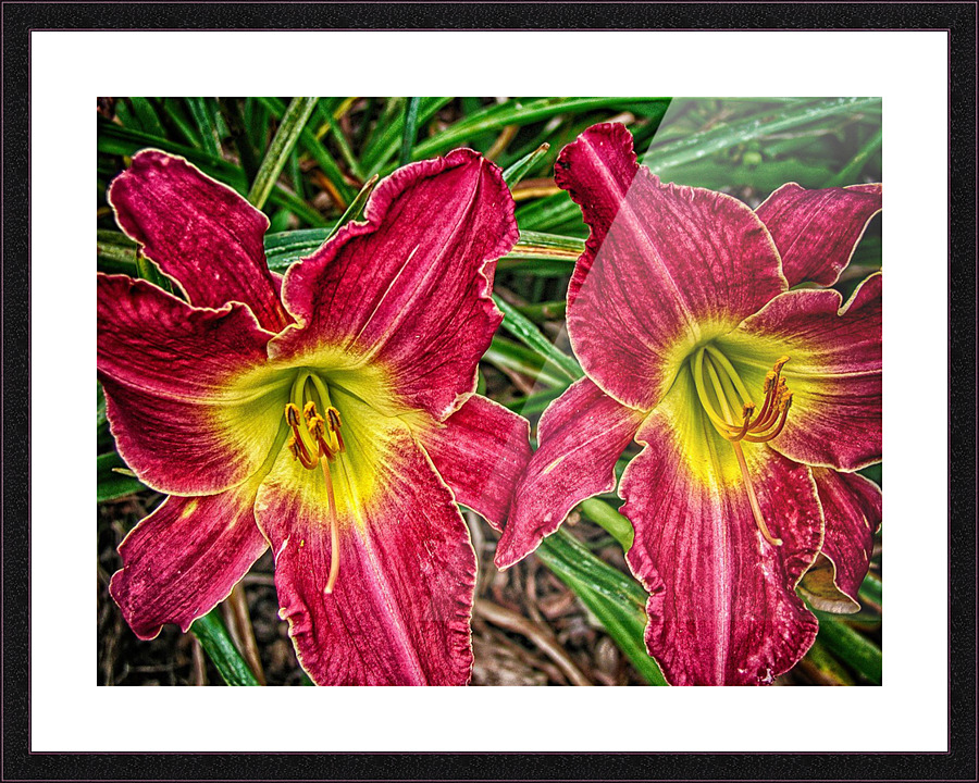 flower three Picture Frame print