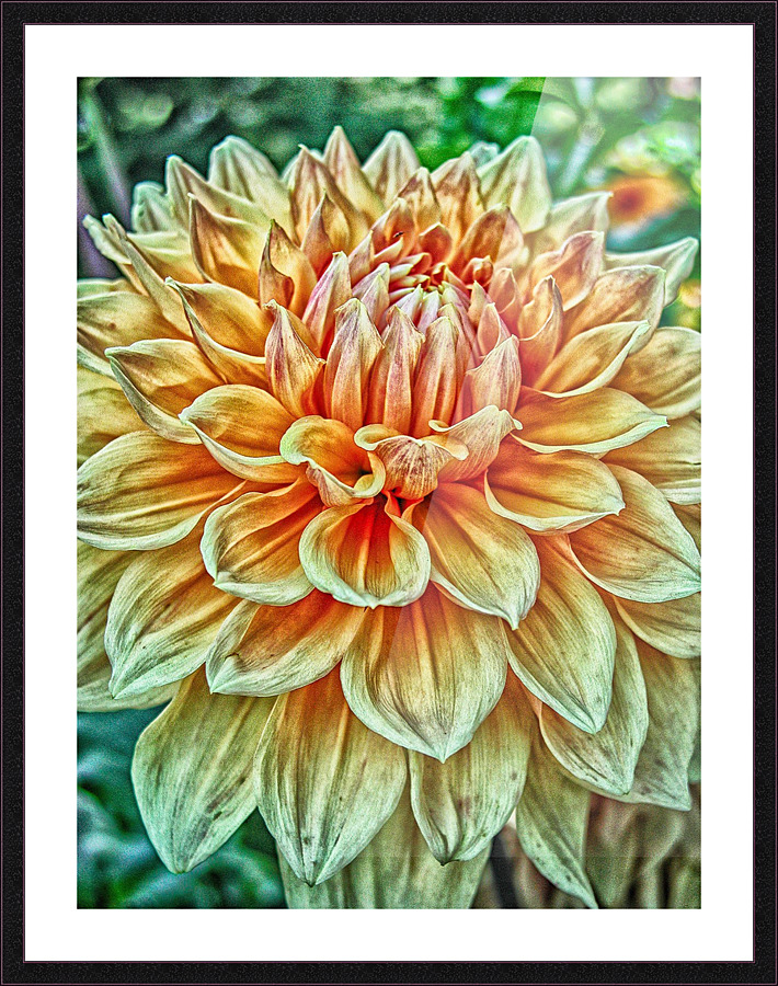 flower ten Picture Frame print
