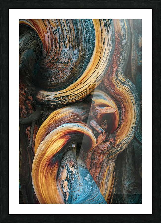 The Big Gnarl Picture Frame print