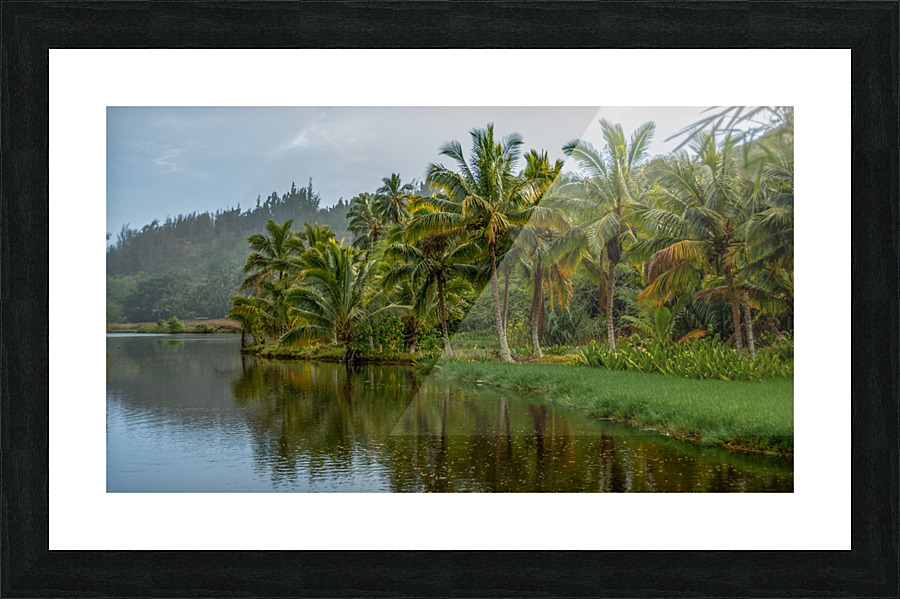 Lagoon Picture Frame print