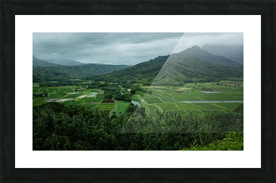 Kauai Green Valley Picture Frame print