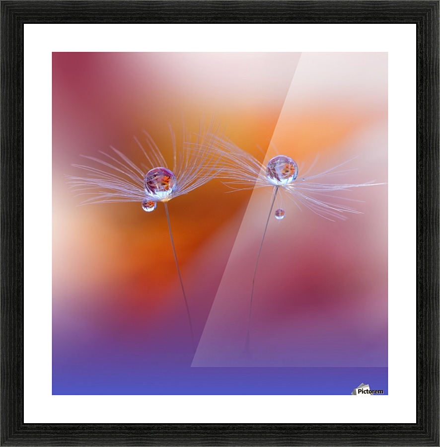 Two Worlds by Juliana Nan  Picture Frame print
