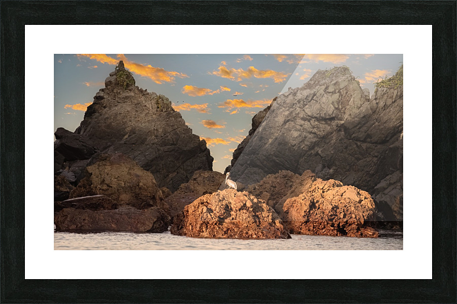 Pelican at Dawn Picture Frame print