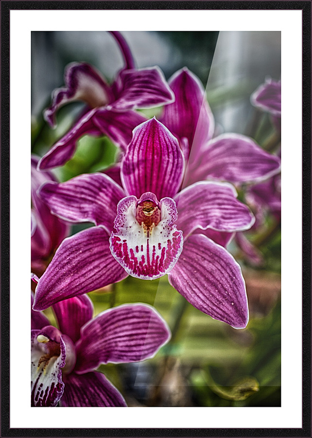 flower 12 Picture Frame print