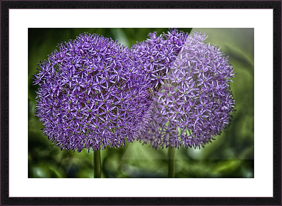 flower 13 Picture Frame print