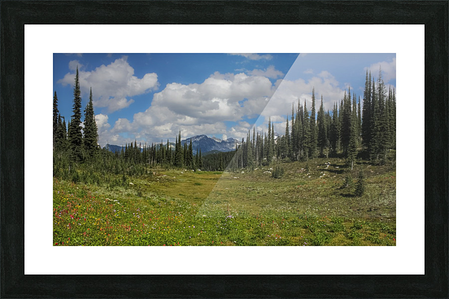 Meadows In The Sky Picture Frame print