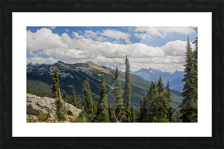 Meadows In The Sky 2 Picture Frame print