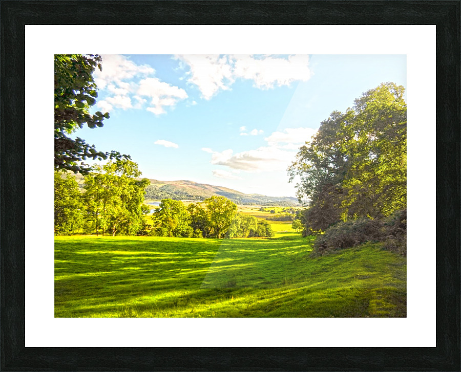  Fine Art print