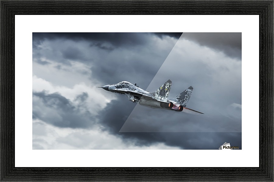 Eye of the Tiger by Leon   Picture Frame print