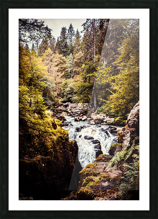 20190918 DSC 0267 4 Picture Frame print