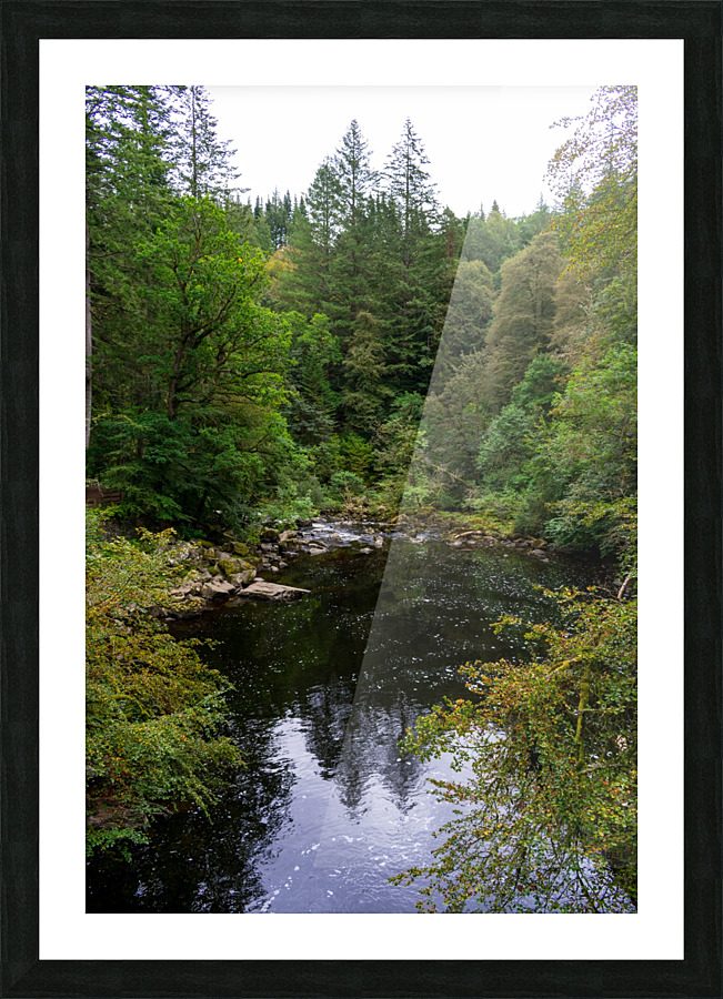 20190918 DSC 0293 Picture Frame print