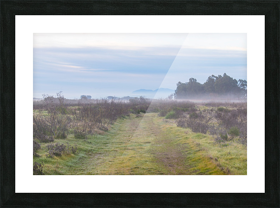 20200118 DSC 0111 Picture Frame print