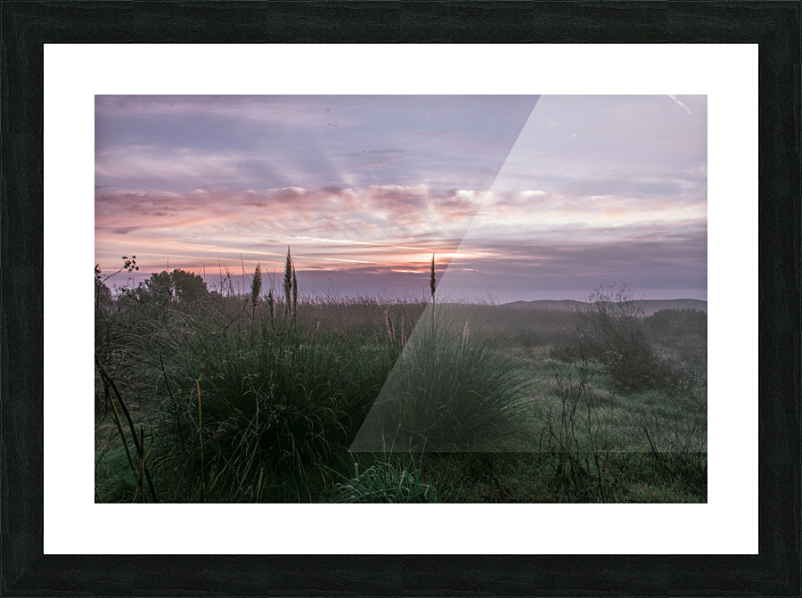 20200118 DSC 0114 Picture Frame print