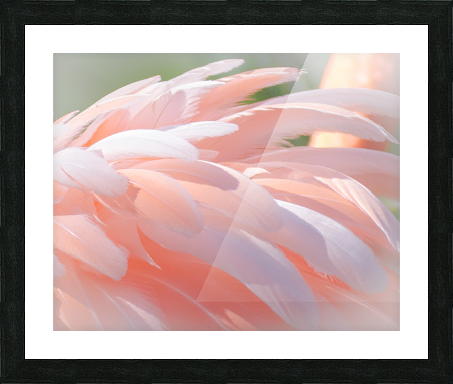 20201004 DSC 0234 Picture Frame print