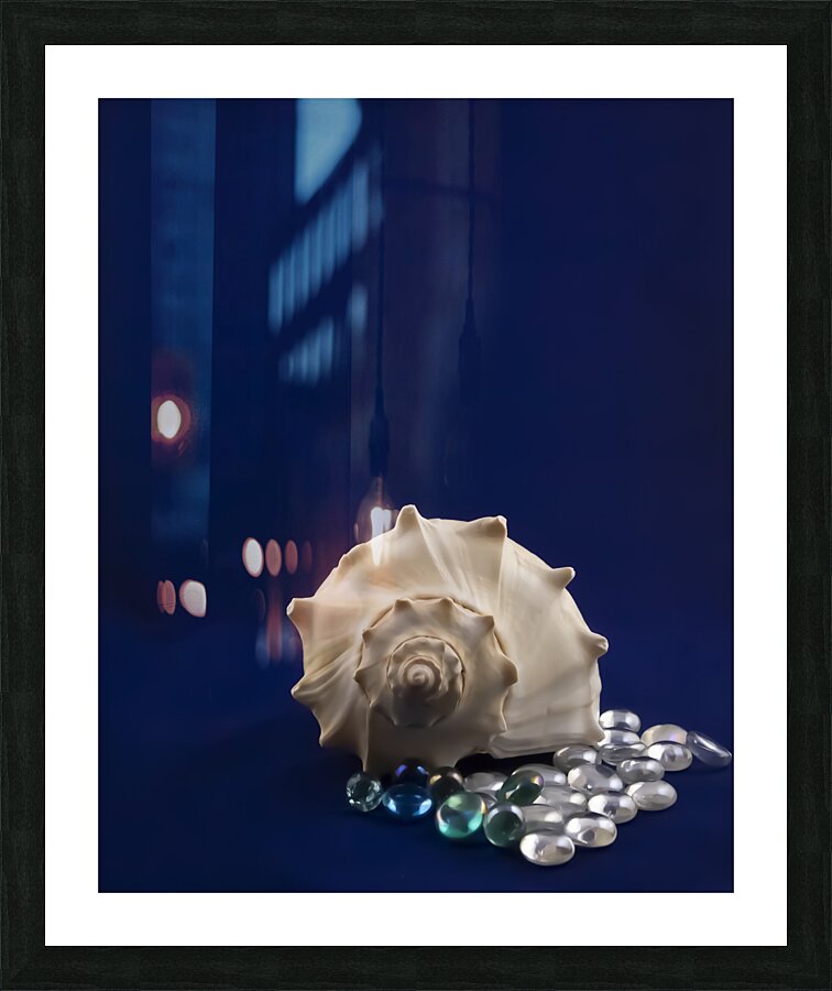  Fine Art print