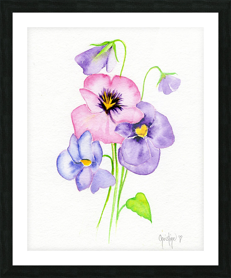 Pansy Picture Frame print