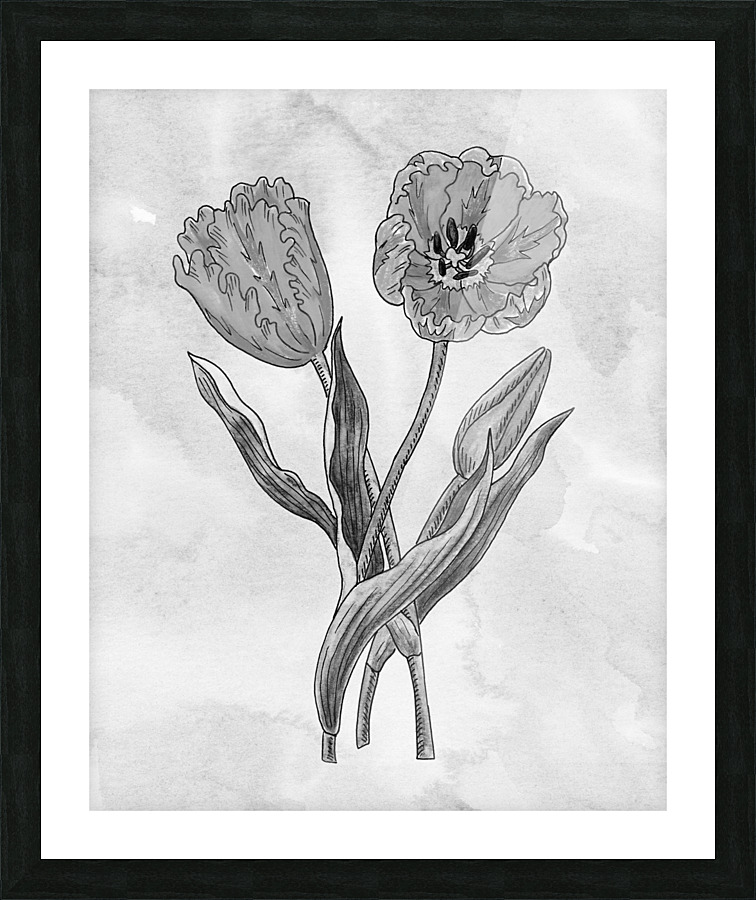 Parrot Tulip Simple Gray Botanical Flower On Watercolor Marble  Picture Frame print