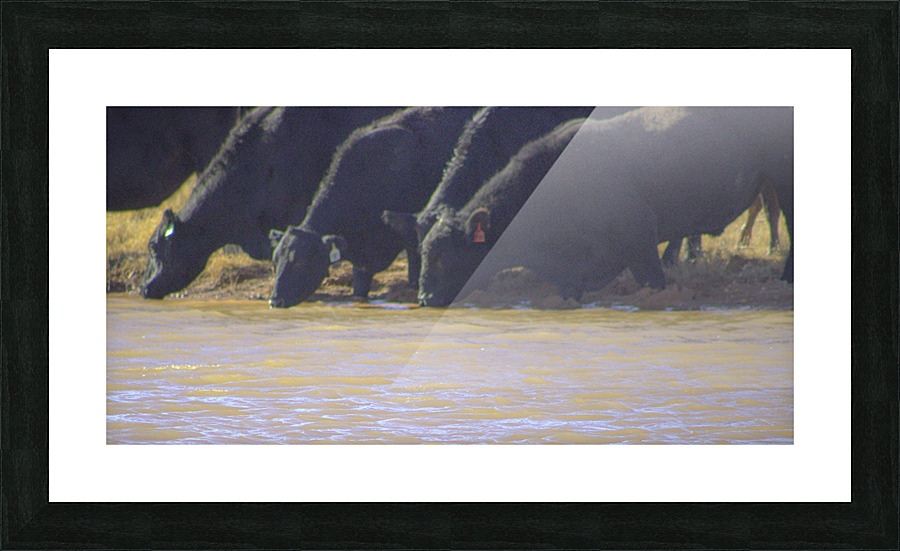 Watering Hole Picture Frame print