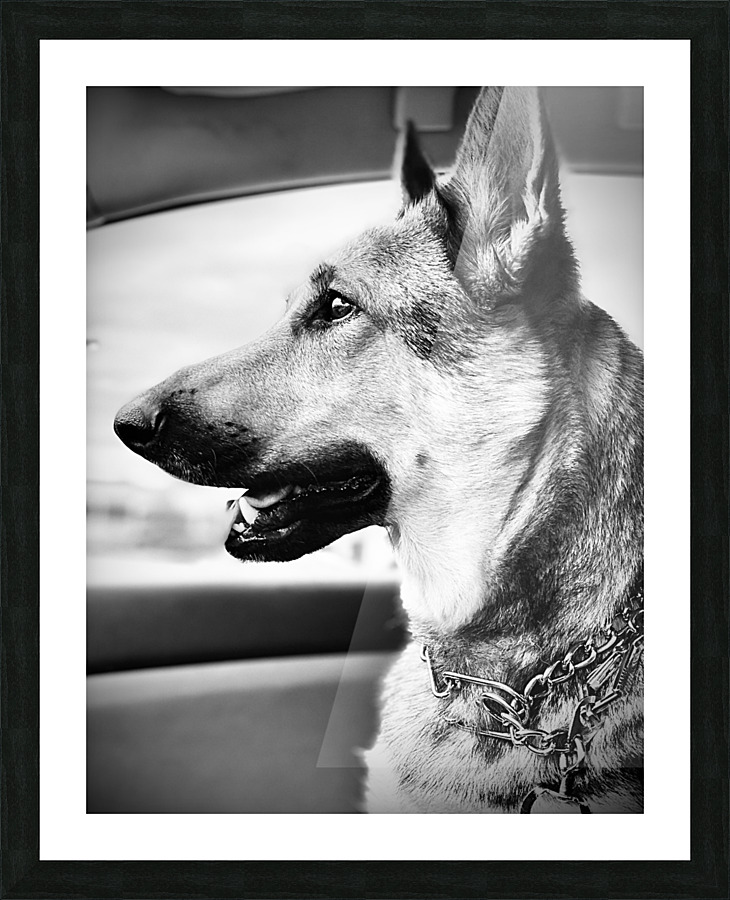 Wolf Child Picture Frame Printing