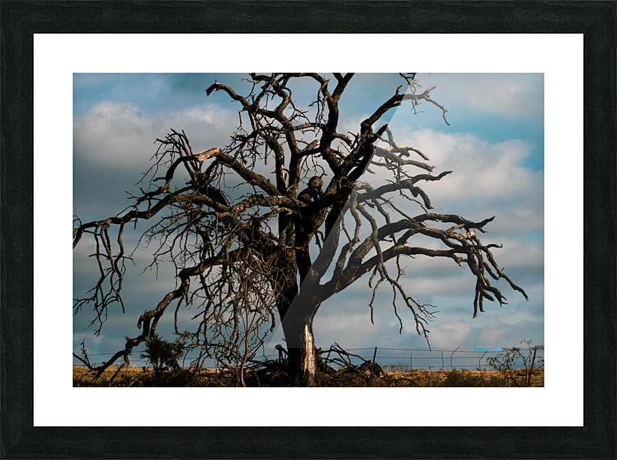 If 2020 Were a Tree Picture Frame print